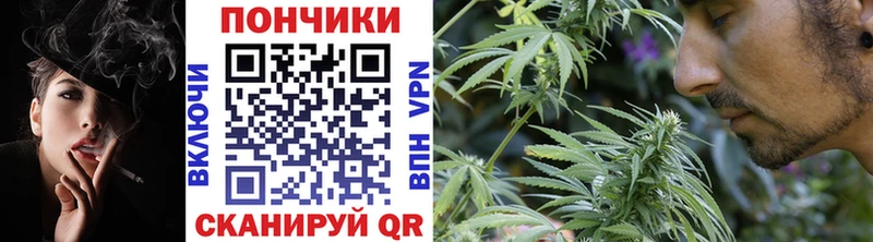 Канабис Bruce Banner  где найти   Балаково 
